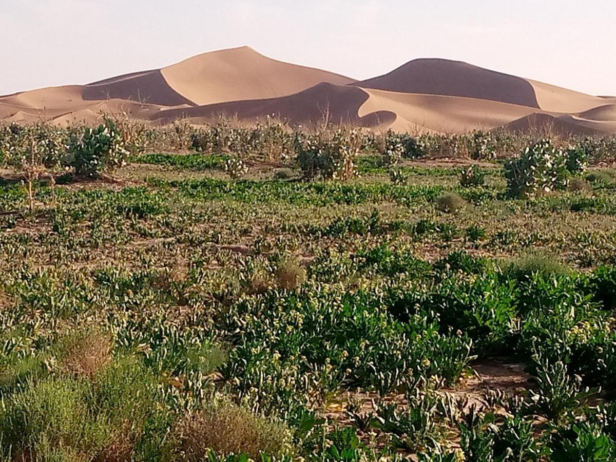 Chegaga Berber Camps Hotel M'Hamid Exterior photo