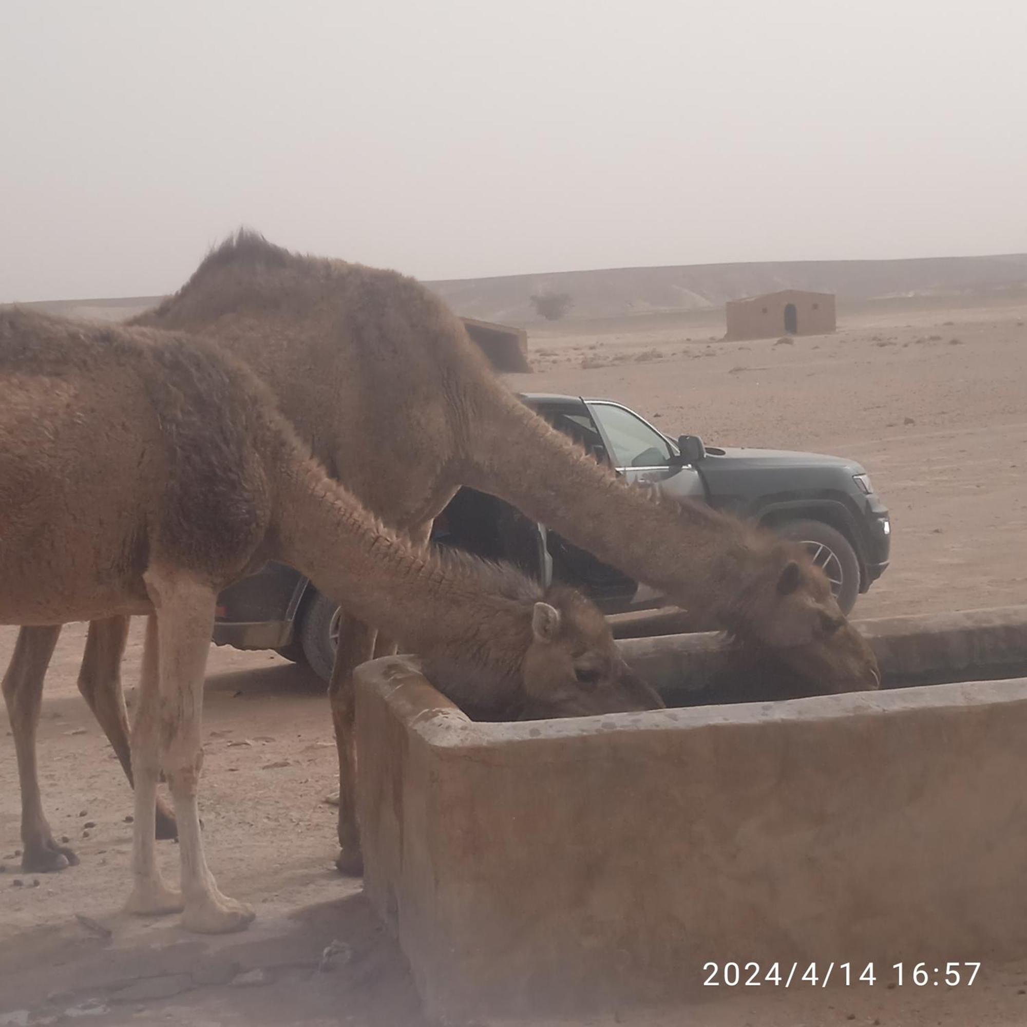 Chegaga Berber Camps Hotel M'Hamid Exterior photo